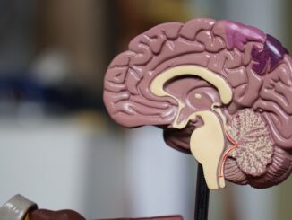 Learn about the 10 most common mental disorders and their typical age of onset. Recognize early signs of anxiety, depression, ADHD, and more.